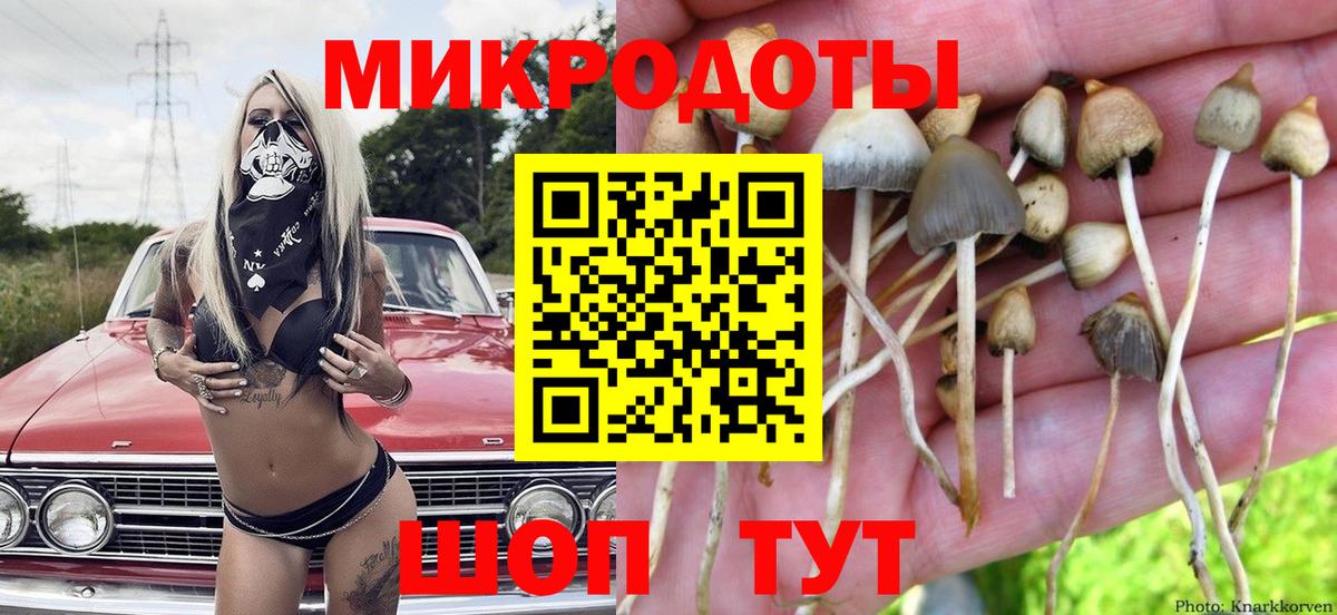 Галлюциногенные грибы Cubensis Топки